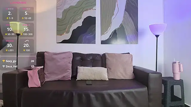 RAACHECK_ webcam