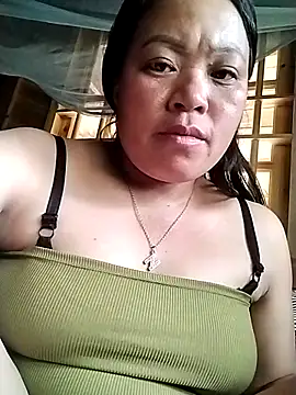 Min-in webcam