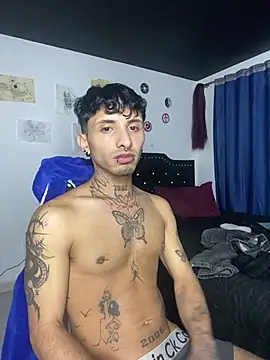 pol_mood webcam