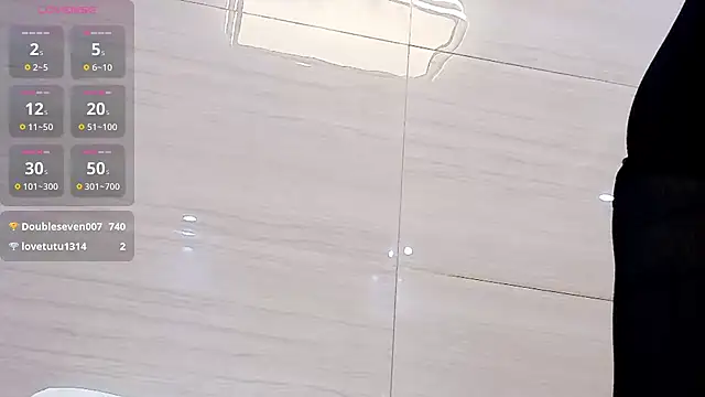Yanzi-66 webcam