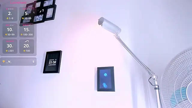 Pit_Ross webcam