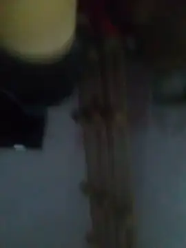 cobrosdepagos live sex cam