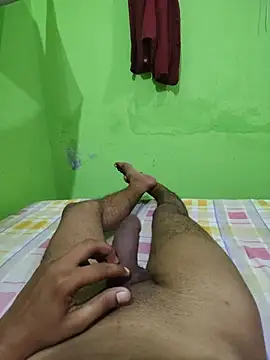 shandy__ webcam