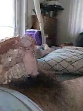 Calabriggia webcam