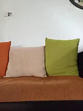 sudunona2 webcam