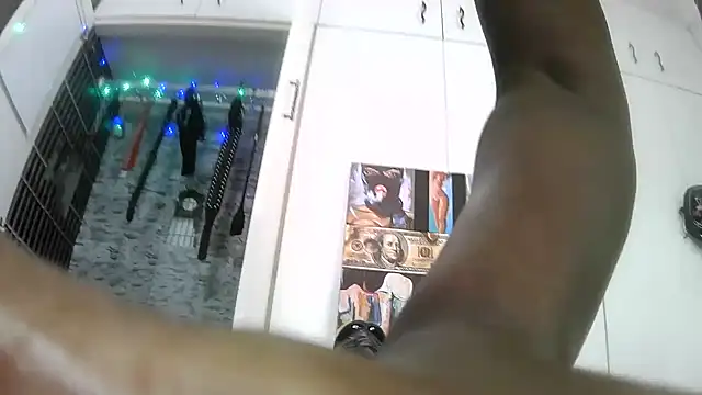 BaDSubMiss webcam