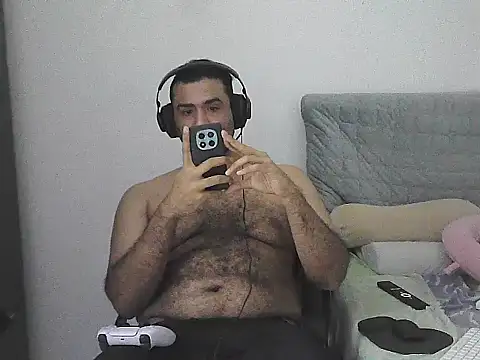 IronSideBear webcam