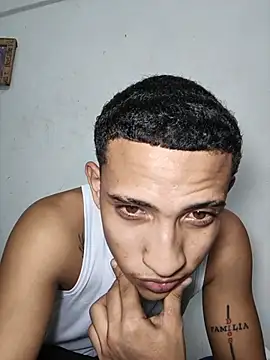 DEIV2_ webcam