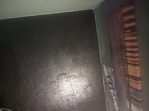 Painstickwes webcam