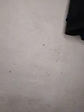 Priankaboudi webcam