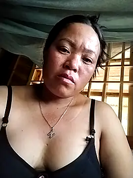 Min-in webcam
