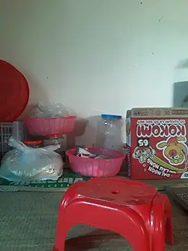 -Tara-a