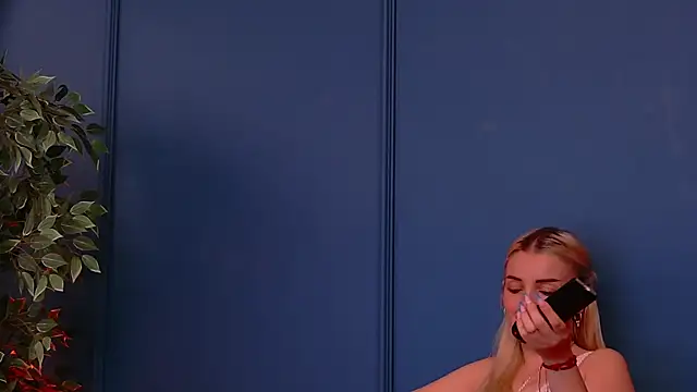 DeeaVIP webcam
