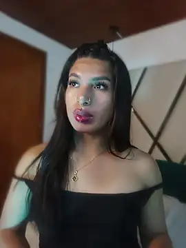MeelFox webcam