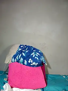 haileystone webcam