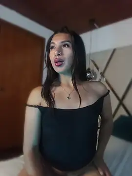 MeelFox webcam