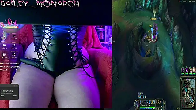 baileymonarch webcam