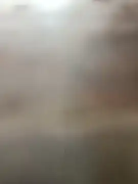 Mona_ji32 webcam