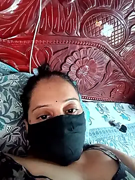 Hansikatelugu webcam