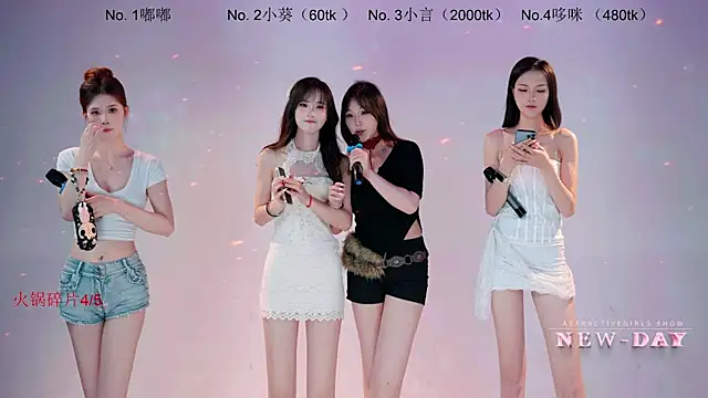 NEW-DAY webcam