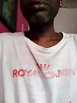 KeptupInosine webcam