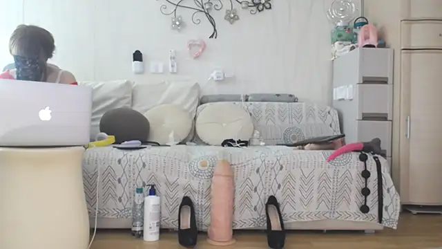 Prjskoviy webcam