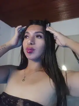 Modelo: MeelFox