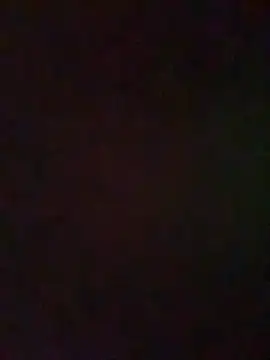 RinaCat webcam