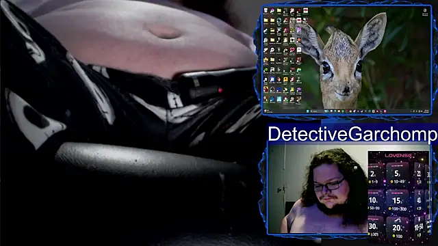 DetChompy webcam