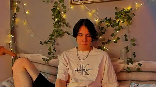 SolarFringe webcam