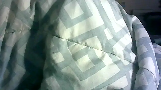 _P3RKY_IMMORTAL3_FIR3_ webcam