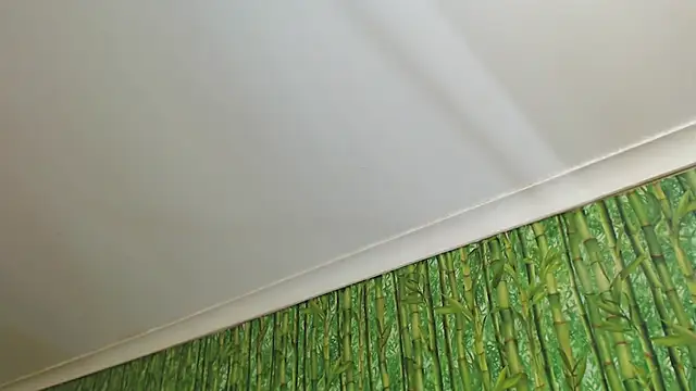 HairyQuinn webcam