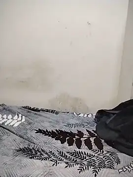 Mr_Hotyy webcam