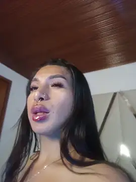 MeelFox webcam