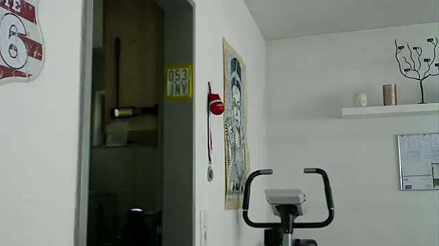 Preview of pimmelmann3