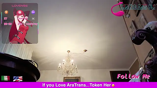 Ara-Trans webcam