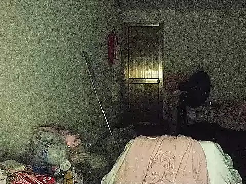 RebelAura webcam