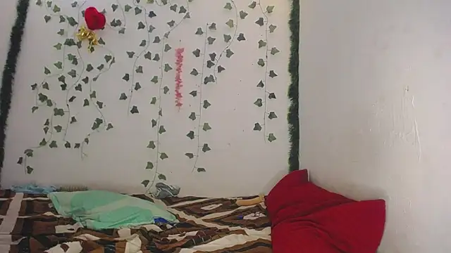 skey_12 webcam