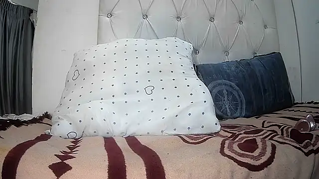 BaselBlues webcam