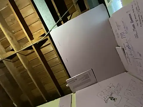 Turnupposse webcam