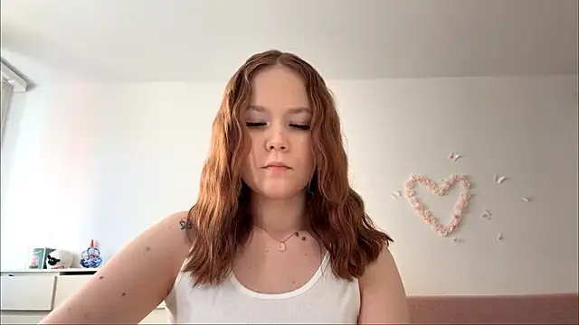 TidiedSweet webcam