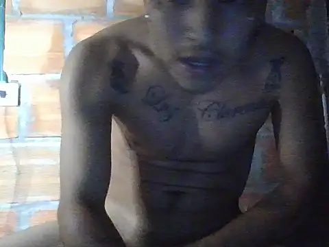 perloon webcam