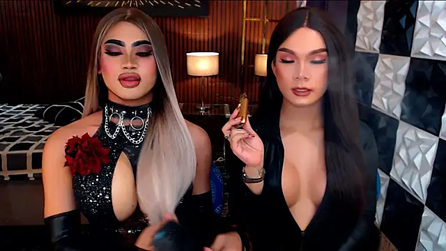 StellaPerkins webcam