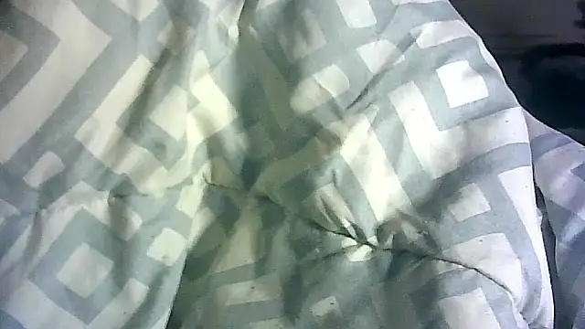 _P3RKY_IMMORTAL3_FIR3_ webcam