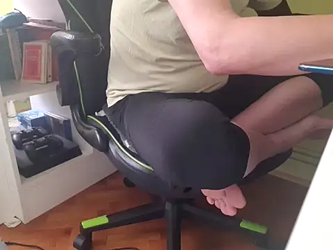 feathersify webcam