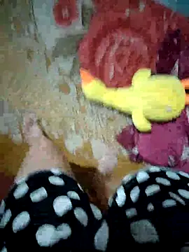 -Tara-a webcam