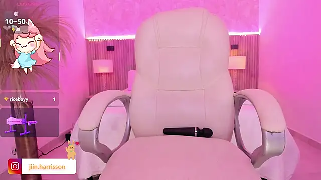 Jin-harrison webcam