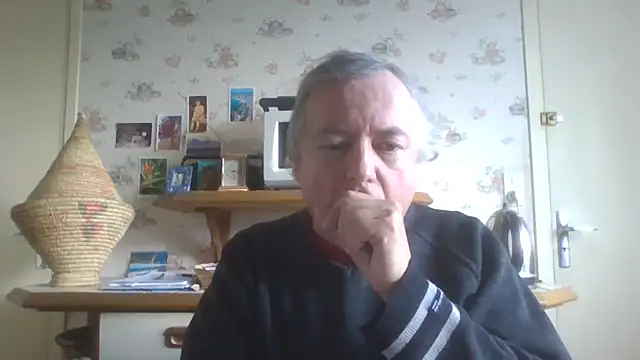 gegevincent5 webcam