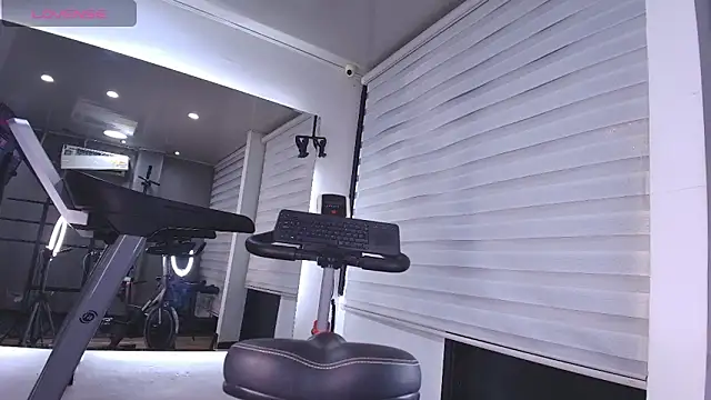 TaylerWhite webcam