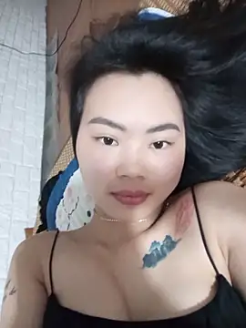 Lynk2x webcam